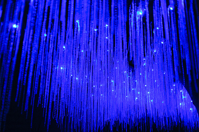 Glowworms